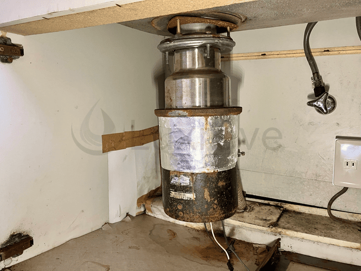 海外製ディスポ本体